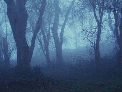 foggy, mysterious atmosphere